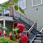 Alice Backyard - Apartments, & Exclusive Cave Saunas 4* Parnu